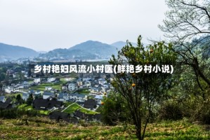 乡村艳妇风流小村医(鲜艳乡村小说)