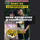 辅助神器:牵手跑得快如何刷好牌!开挂辅助脚本+详细开挂安装教程