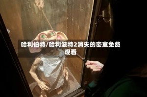 哈利伯特/哈利波特2消失的密室免费观看