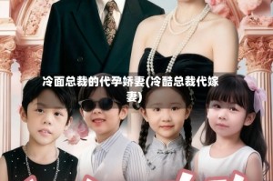 冷面总裁的代孕娇妻(冷酷总裁代嫁妻)