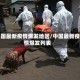 中国最新疫情爆发地区/中国最新疫情爆发列表