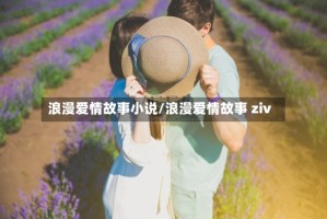 浪漫爱情故事小说/浪漫爱情故事 ziv