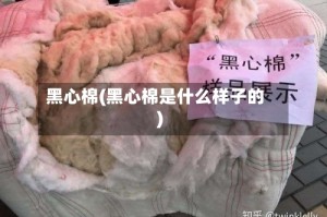 黑心棉(黑心棉是什么样子的)