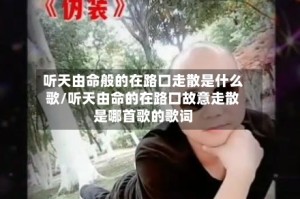 听天由命般的在路口走散是什么歌/听天由命的在路口故意走散是哪首歌的歌词
