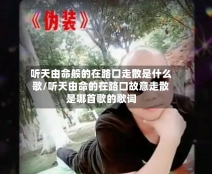 听天由命般的在路口走散是什么歌/听天由命的在路口故意走散是哪首歌的歌词