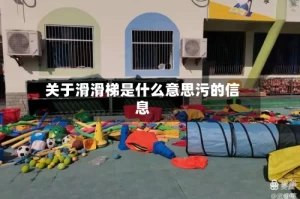 关于滑滑梯是什么意思污的信息