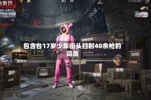 包含台17岁少年街头扫射40余枪的词条