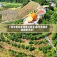 【焦作地区疫情路况报告,焦作疫情封路最新消息】
