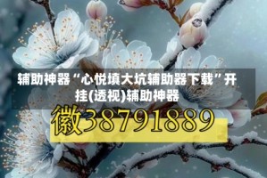 辅助神器“心悦填大坑辅助器下载”开挂(透视)辅助神器