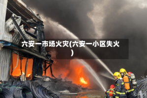 六安一市场火灾(六安一小区失火)