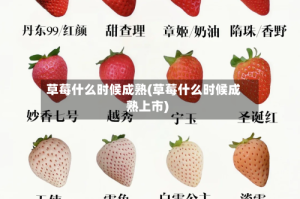 草莓什么时候成熟(草莓什么时候成熟上市)