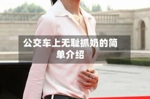 公交车上无耻抓奶的简单介绍