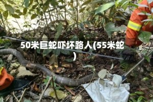 50米巨蛇吓坏路人(55米蛇)
