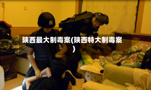 陕西最大制毒案(陕西特大制毒案)-第2张图片