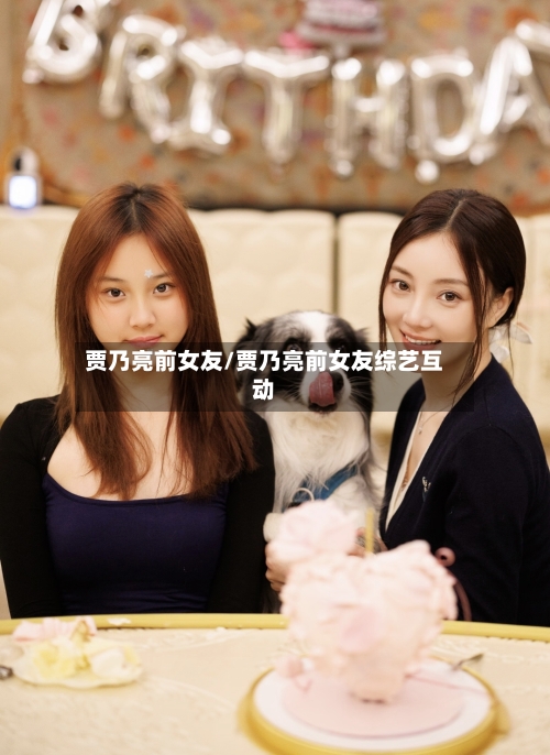 贾乃亮前女友/贾乃亮前女友综艺互动-第2张图片