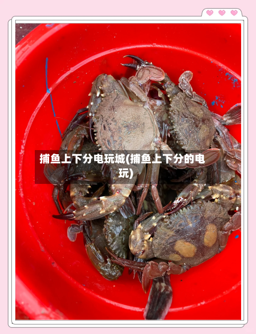捕鱼上下分电玩城(捕鱼上下分的电玩)-第2张图片