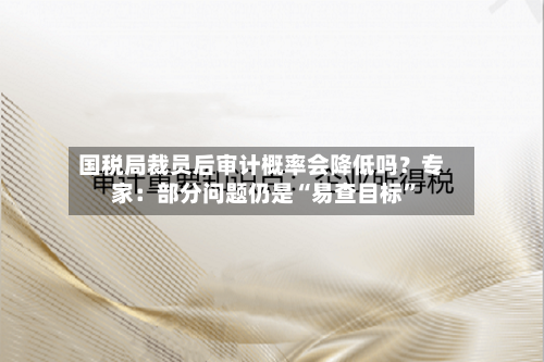 国税局裁员后审计概率会降低吗？专家：部分问题仍是“易查目标”-第2张图片