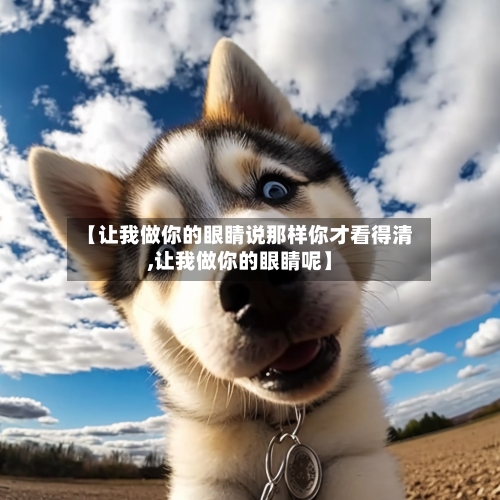 【让我做你的眼睛说那样你才看得清,让我做你的眼睛呢】-第2张图片