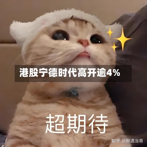 港股宁德时代高开逾4%-第1张图片