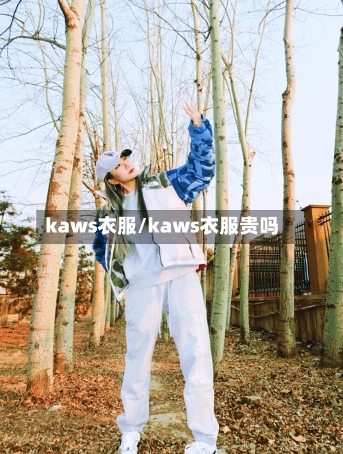 kaws衣服/kaws衣服贵吗-第1张图片
