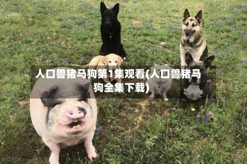人口兽猪马狗第1集观看(人口兽猪马狗全集下载)-第1张图片
