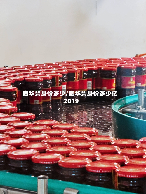 陶华碧身价多少/陶华碧身价多少亿2019-第1张图片