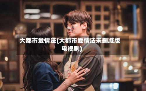 大都市爱情法(大都市爱情法未删减版电视剧)-第1张图片