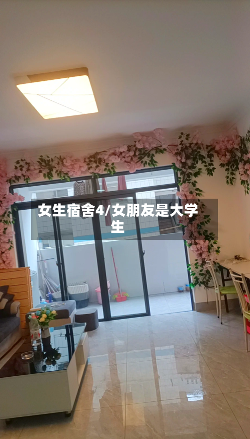 女生宿舍4/女朋友是大学生-第1张图片