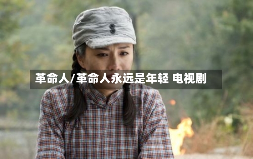 革命人/革命人永远是年轻 电视剧-第2张图片