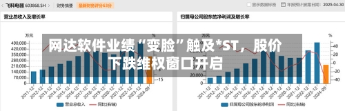 网达软件业绩“变脸	”触及*ST，股价下跌维权窗口开启-第2张图片