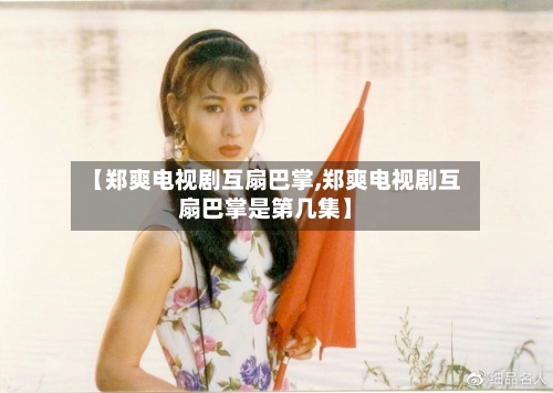 【郑爽电视剧互扇巴掌,郑爽电视剧互扇巴掌是第几集】-第3张图片