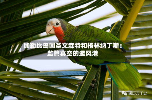 加勒比岛国圣文森特和格林纳丁斯：监管真空的避风港-第2张图片