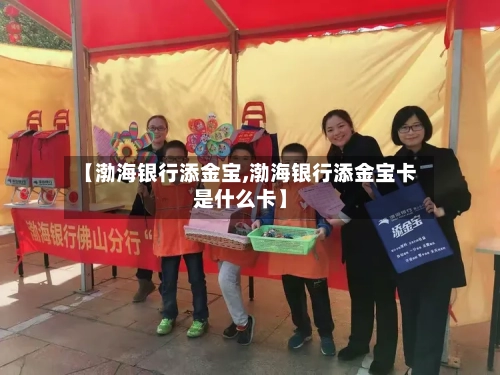 【渤海银行添金宝,渤海银行添金宝卡是什么卡】-第2张图片