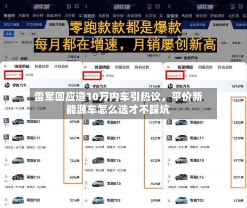 雷军回应造10万内车引热议，平价新能源车怎么选才不踩坑-第1张图片