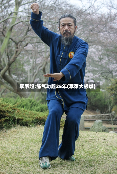 李家超:练气功超25年(李家太极拳)-第2张图片