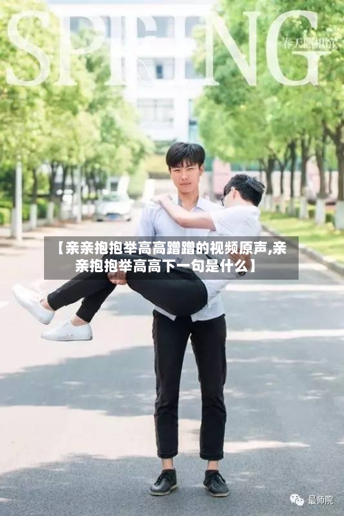 【亲亲抱抱举高高蹭蹭的视频原声,亲亲抱抱举高高下一句是什么】-第2张图片