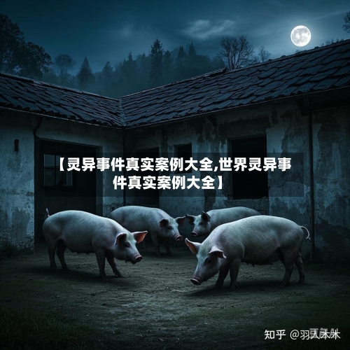 【灵异事件真实案例大全,世界灵异事件真实案例大全】-第1张图片