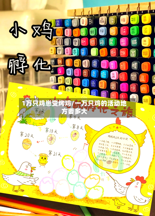 1万只鸡崽变烤鸡/一万只鸡的活动地方要多大-第2张图片