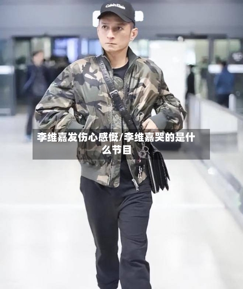 李维嘉发伤心感慨/李维嘉哭的是什么节目-第1张图片