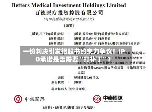 一份判决引发招股书约束力争议！IPO承诺是否需要“打补丁”？-第1张图片