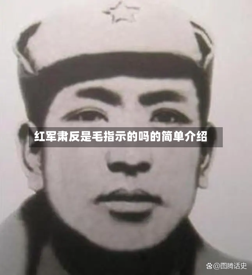 红军肃反是毛指示的吗的简单介绍-第1张图片