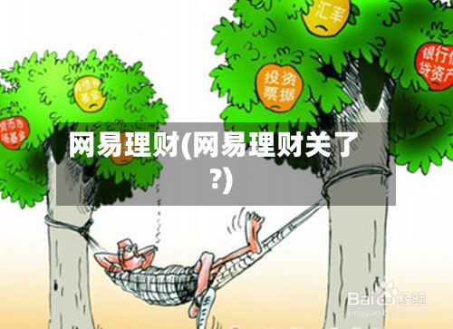 网易理财(网易理财关了?)-第2张图片