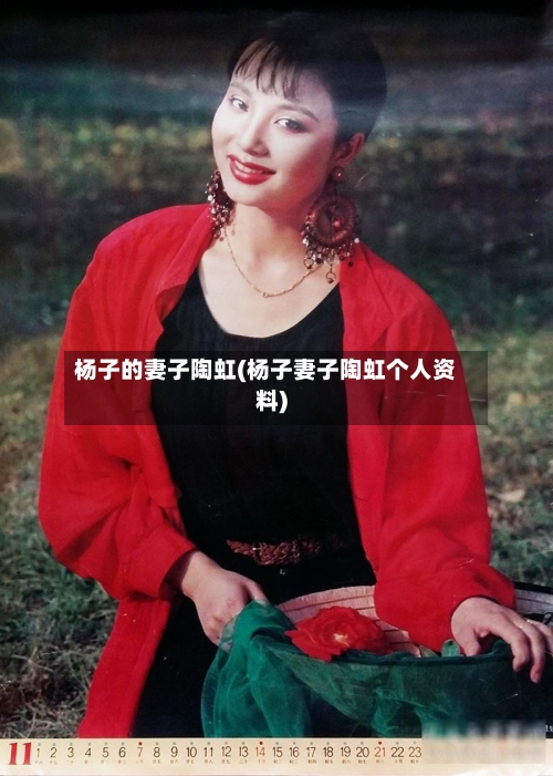 杨子的妻子陶虹(杨子妻子陶虹个人资料)-第1张图片