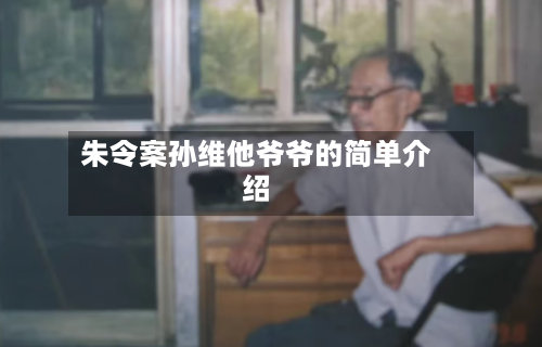 朱令案孙维他爷爷的简单介绍-第1张图片