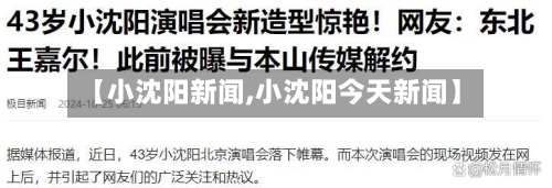【小沈阳新闻,小沈阳今天新闻】-第1张图片