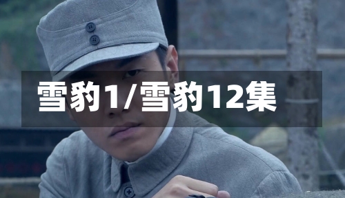 雪豹1/雪豹12集-第1张图片
