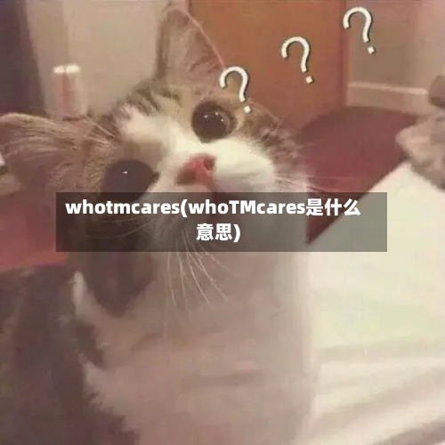 whotmcares(whoTMcares是什么意思)-第2张图片