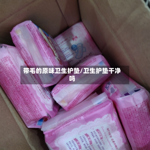 带毛的原味卫生护垫/卫生护垫干净吗-第1张图片