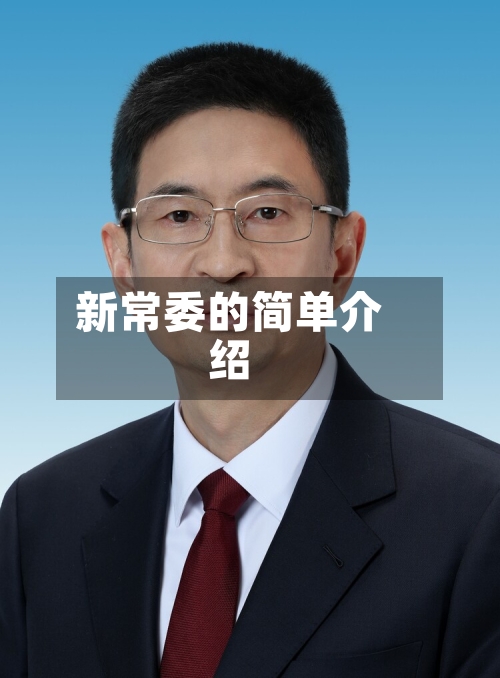 新常委的简单介绍-第2张图片