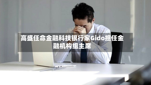 高盛任命金融科技银行家Gido担任金融机构组主席-第2张图片